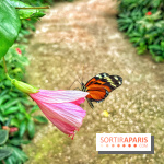 Serre Papillons - La Queue-lez-Yvelines