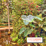 Serre Papillons - La Queue-lez-Yvelines