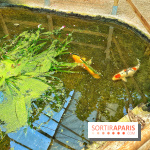 Serre Papillons - La Queue-lez-Yvelines