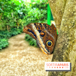 Serre Papillons - La Queue-lez-Yvelines