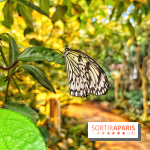 Serre Papillons - La Queue-lez-Yvelines