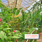 Serre Papillons - La Queue-lez-Yvelines