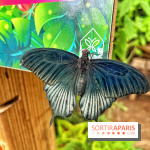 Serre Papillons - La Queue-lez-Yvelines