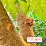 Serre Papillons - La Queue-lez-Yvelines