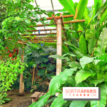 Serre Papillons - La Queue-lez-Yvelines