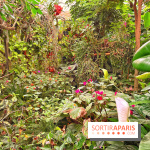 Serre Papillons - La Queue-lez-Yvelines