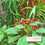 Serre Papillons - La Queue-lez-Yvelines