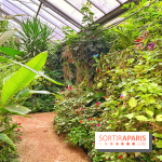 Serre Papillons - La Queue-lez-Yvelines