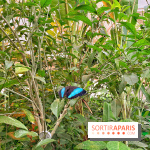 Serre Papillons - La Queue-lez-Yvelines