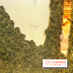 Le Chant des Forêts, l'exposition sensible et gratuite du Maif Social Club