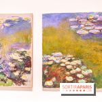 Exposition Monet - Mitchell Fondation Vuitton