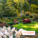 Le Jardin japonais du Château de Courances