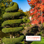Le Jardin japonais du Château de Courances