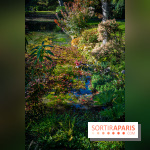 Le Jardin japonais du Château de Courances