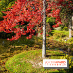 Parc et Domaine du Château de Courances