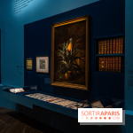 Exposition Louis XV au Château de Versailles - vélins du roi