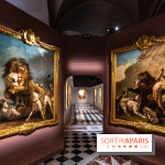 Exposition Louis XV au Château de Versailles - le roi chasseur - lion d'afrique - ours de Pologne - jean Jacques bachelier