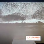 Foules, l'exposition interactive de la Cité des Sciences et de l'Industrie - nos photos