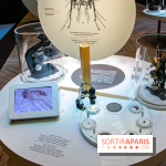 Mini-monstres, nos photos de l'exposition à la galerie de Géologie du Muséum d'Histoire naturelle