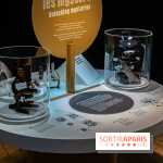 Mini-monstres, nos photos de l'exposition à la galerie de Géologie du Muséum d'Histoire naturelle