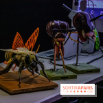 Mini-monstres, nos photos de l'exposition à la galerie de Géologie du Muséum d'Histoire naturelle