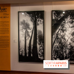 L'Asie Maintenant 2022, l'exposition en partenariat avec Asia Now au Musée Guimet