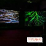 Exposition au Palais de Tokyo : Shéhérazade, la nuit - nos photos