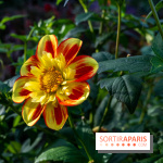 Les Jardins de la Maison Claude Monet à l'automne