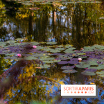 Les Jardins de la Maison Claude Monet à l'automne