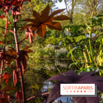 Les Jardins de la Maison Claude Monet à l'automne