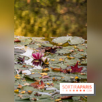 Les Jardins de la Maison Claude Monet à l'automne