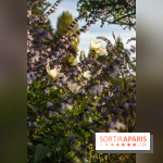 Les Jardins de la Maison Claude Monet à l'automne