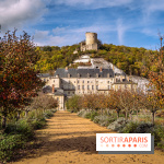 Château et potager de la Roche-Guyon