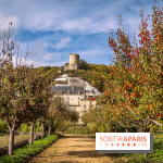 Château et potager de la Roche-Guyon