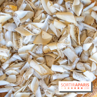 Galettes des rois 2023 à Paris - Royal Monceau - Quentin Lechat