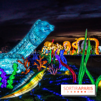 Thoiry Lumières Sauvages 2022 - 2023- murène