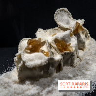 Le Salon du Chocolat 2022, les photos- Bûche de Noël - Park Hyatt Paris