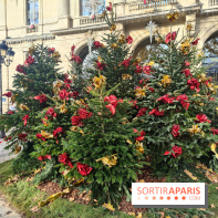 Noël Paris visuels - cadeau - sapin - Marché de Noël - cadeau de Noël - décoration - Mairie 11e