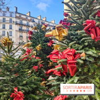 Noël Paris visuels - cadeau - sapin - Marché de Noël - cadeau de Noël - décoration - Mairie 11e