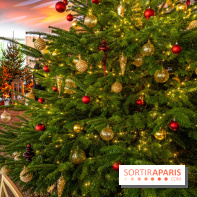 Visuels Noël - sapin