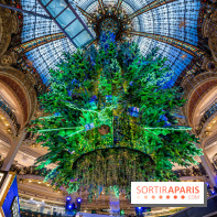 Noël Paris visuels- sapin de noël