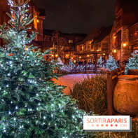 Noël Paris visuels - sapin de noël