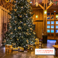 Noël Paris visuels - sapin de noël