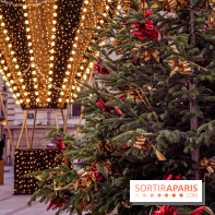 Noël Paris visuels - sapin