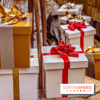 Noël Paris visuels - cadeau Noël