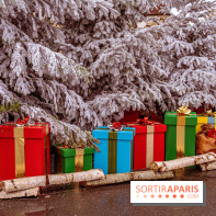 Noël Paris visuels - cadeau Noël