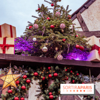 Noël Paris visuels - cadeau noël - sapin