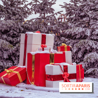 Noël Paris visuels - cadeau Noël