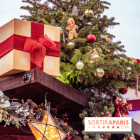 Noël Paris visuels - cadeau Noël