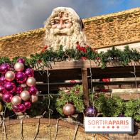 Noël Paris visuels - cadeau - sapin - Marché de Noël - cadeau de Noël - décoration -  A7C8907